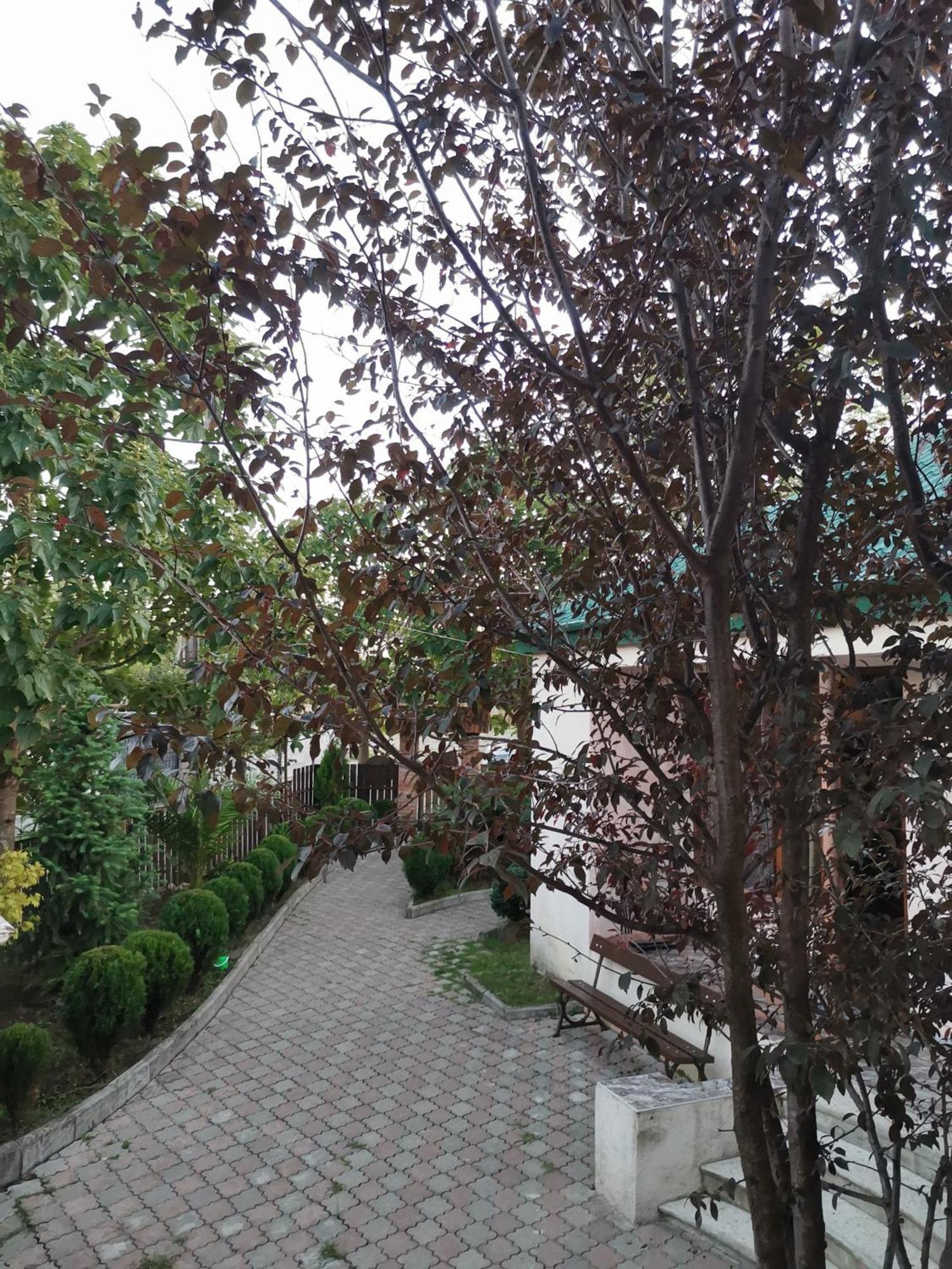 Villa Platinum 茨卡尔图博 外观 照片